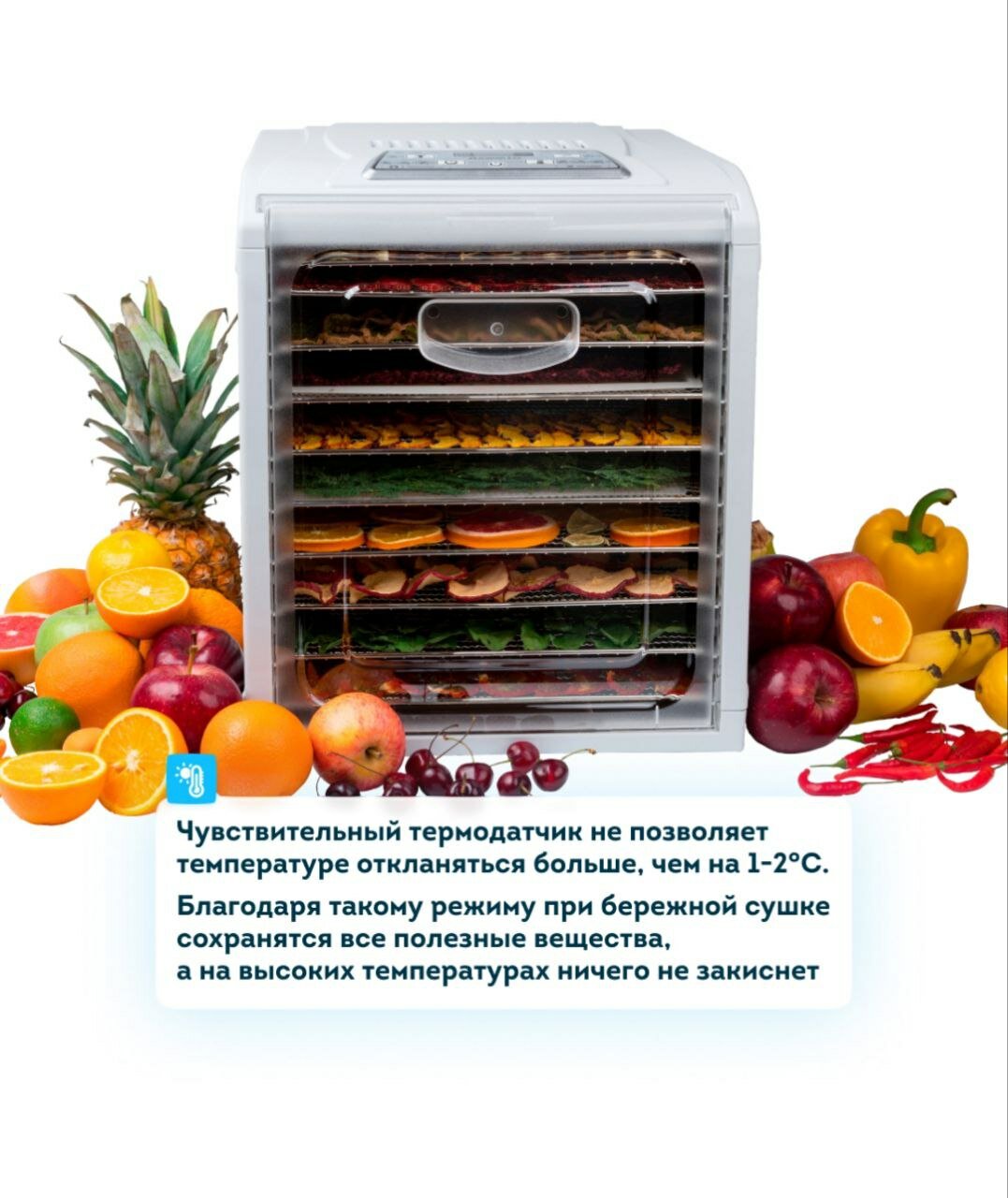 Сушилка для овощей и фруктов RAWMID Vitamin DDV10