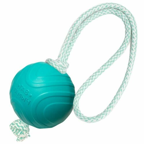 Игрушка для собак Мячик с веревкой, 75мм, серия ГАВ гамыч, Gamma киселева е гав блокнот для любителей собак