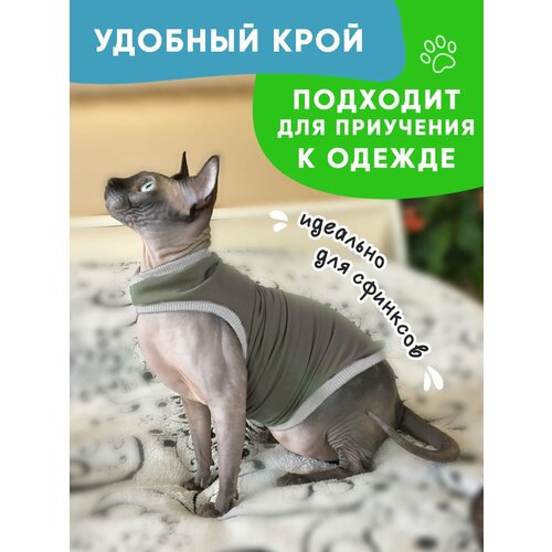 Одежда для животных кошек сфинкс и собак мелких пород, размер L
