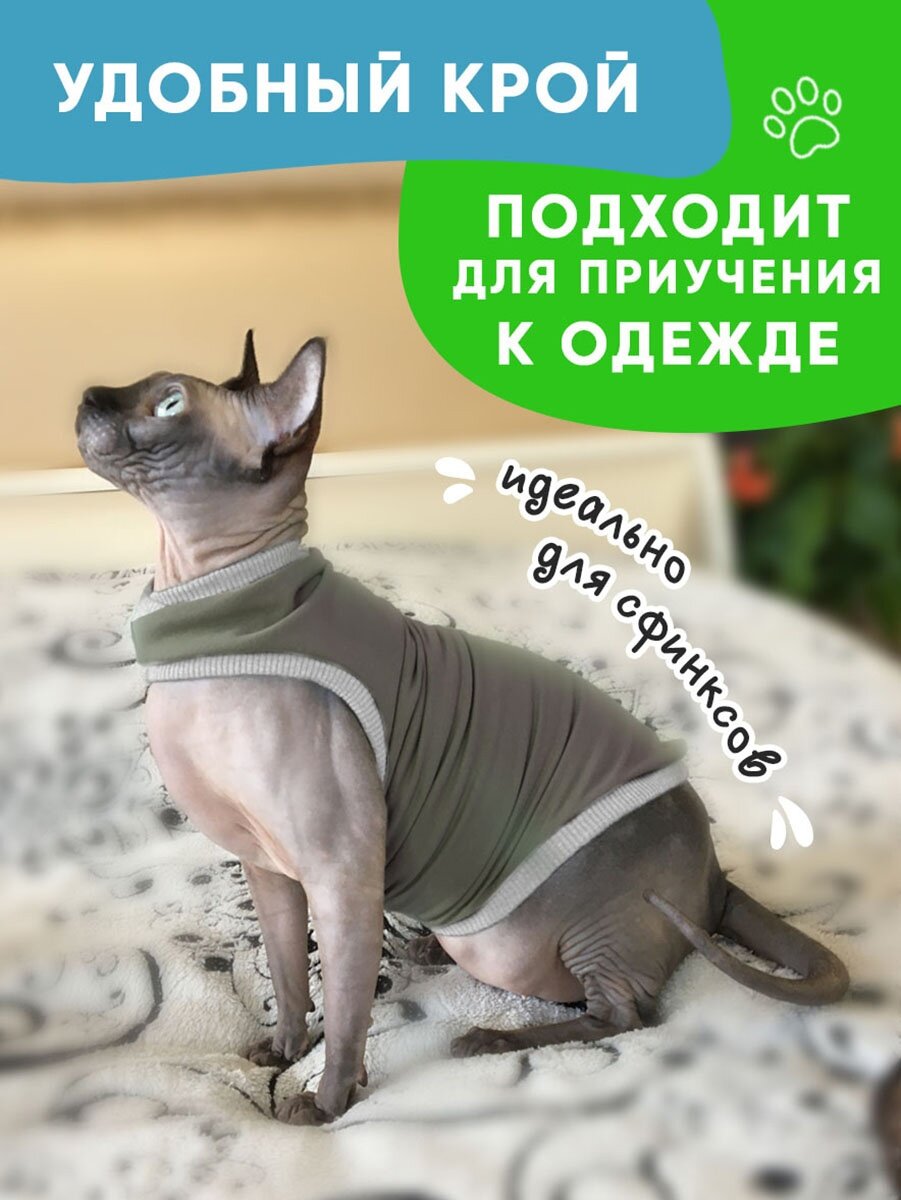 Одежда для животных кошек сфинкс и собак мелких пород, размер M