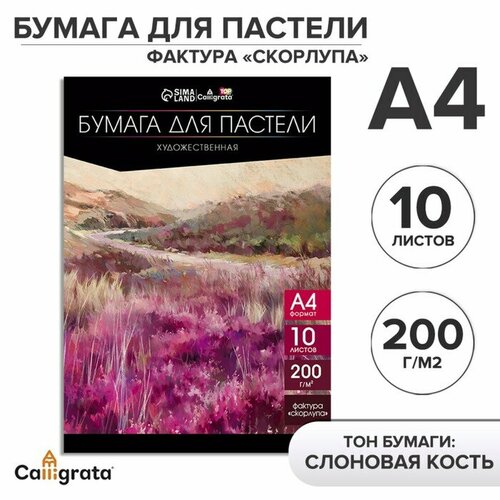 Бумага для пастели А4, 10 листов, Пейзаж, бумага слоновая кость, гознак, тиснение скорлупа, блок 200 г/м2, в папке