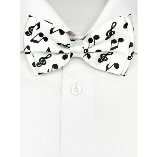 Бабочка , черный, белый