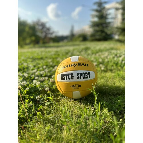 фото Мяч волейбольный размер 5 игла в подарок нет бренда