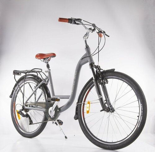Женский велосипед Alpine Bike Costa 26" 2022 (Рама: M (Рост: 165-180 см ...