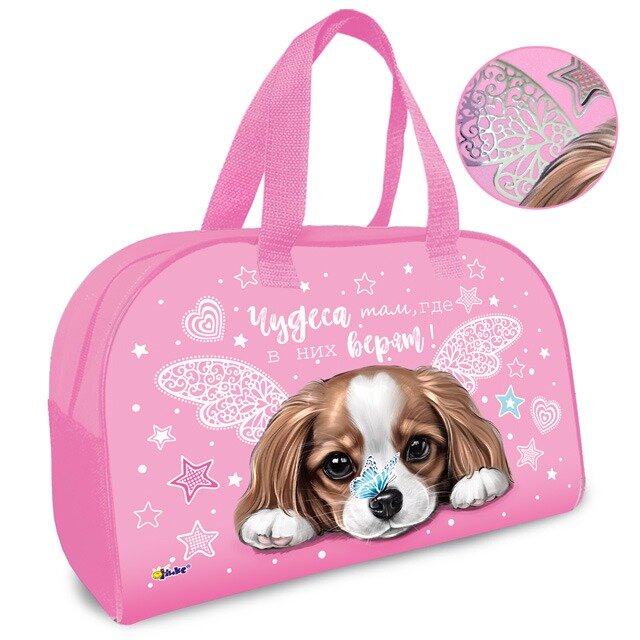 Школьная сумка Оникс С-15 Чудесная собачка