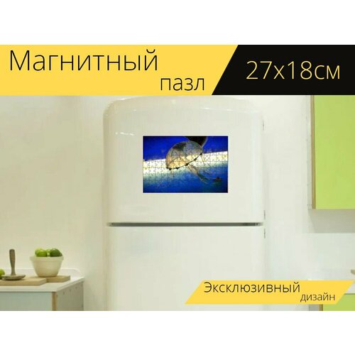 Магнитный пазл Медуза, рыбы, щупальца на холодильник 27 x 18 см.