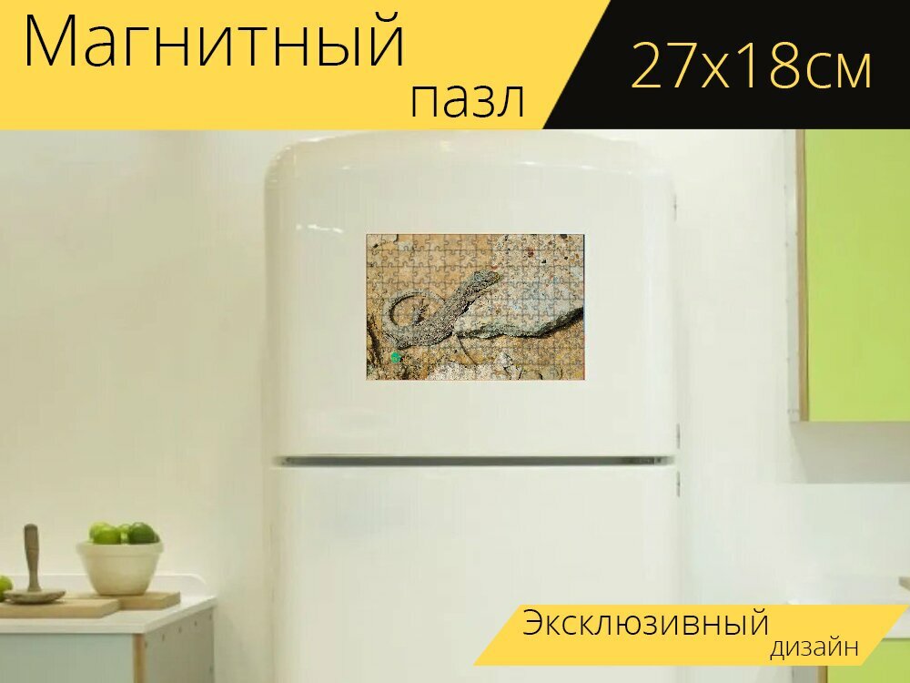 Магнитный пазл "Песчаная ящерица, ящерица, женский" на холодильник 27 x 18 см.
