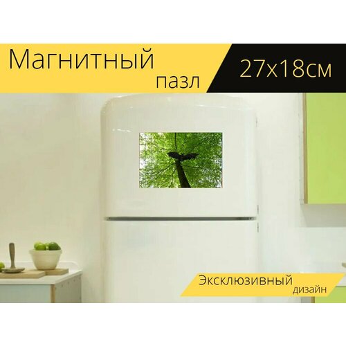 Магнитный пазл Летучая мышь, фигура, лиственное дерево на холодильник 27 x 18 см.