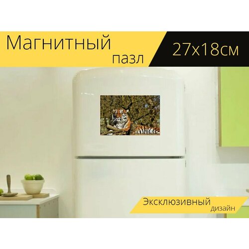 Магнитный пазл Тигр, сибирский тигр, большой кот на холодильник 27 x 18 см.