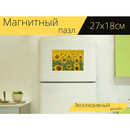 Магнитный пазл Подсолнухи, цвести, желтый на холодильник 27 x 18 см.