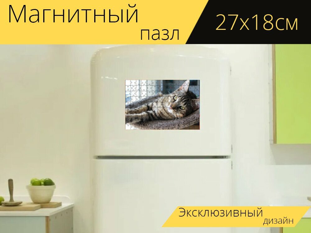 Магнитный пазл "Кошка, котенок, серый кот" на холодильник 27 x 18 см.