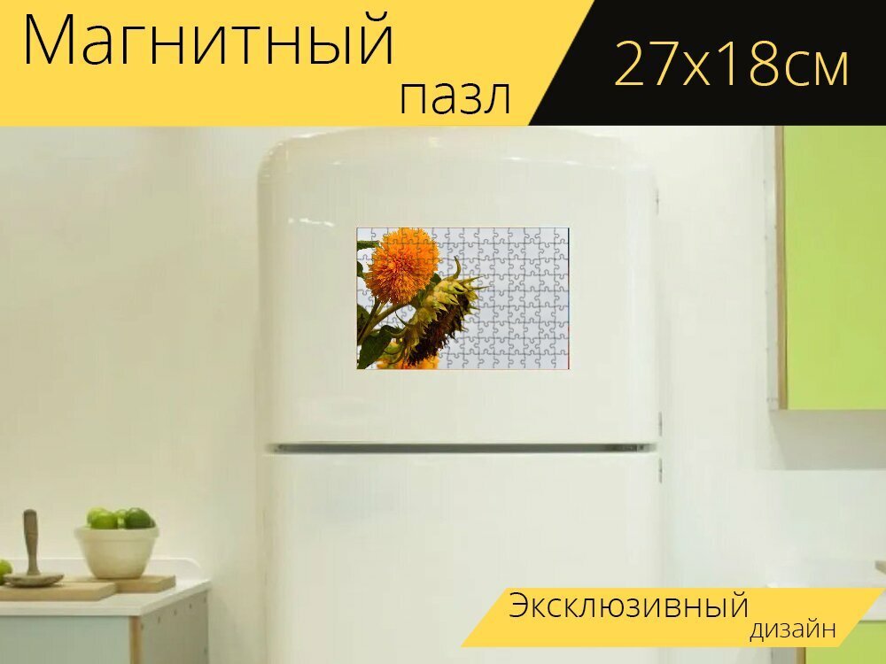 Магнитный пазл "Подсолнечник, helianthus annuus нечеткое лицо, крупный план" на холодильник 27 x 18 см.