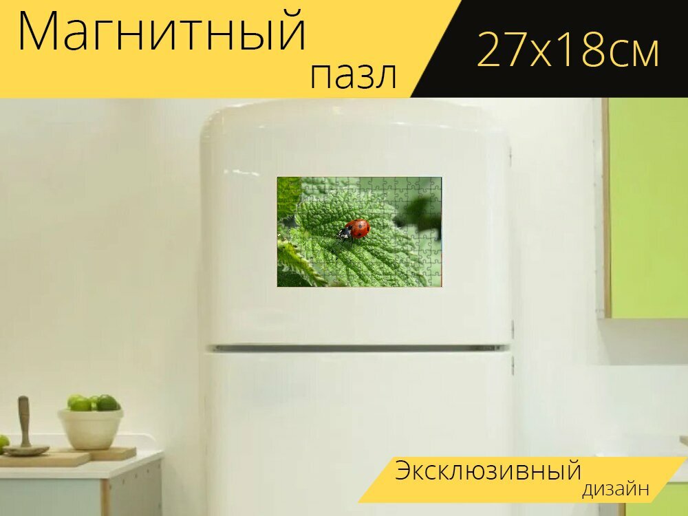 Магнитный пазл "Божья коровка, насекомое, божья коровка жук" на холодильник 27 x 18 см.