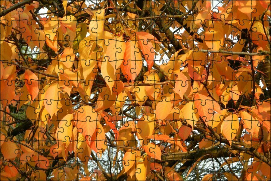 Магнитный пазл "Осень, осеннее золото, осенние листья" на холодильник 27 x 18 см.