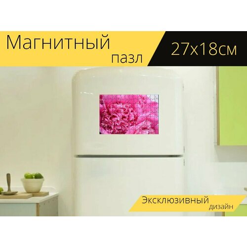 Магнитный пазл Пион, бутон, нежный на холодильник 27 x 18 см.