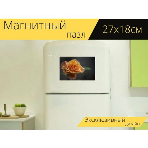 Магнитный пазл Золотая медаль роза, роза, цветок на холодильник 27 x 18 см. магнитный пазл розы дикая роза китайская золотая роза на холодильник 27 x 18 см