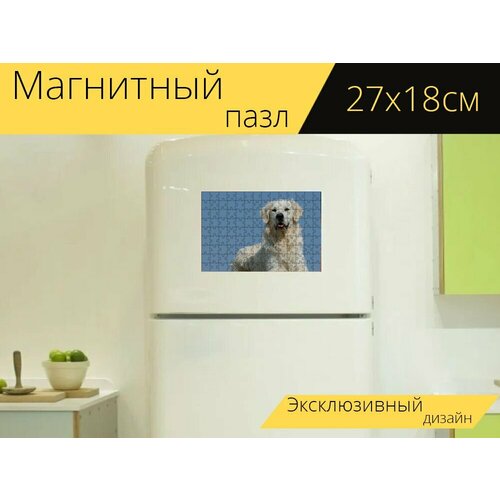 фото Магнитный пазл "золотистый ретривер, луг, собака" на холодильник 27 x 18 см. lotsprints