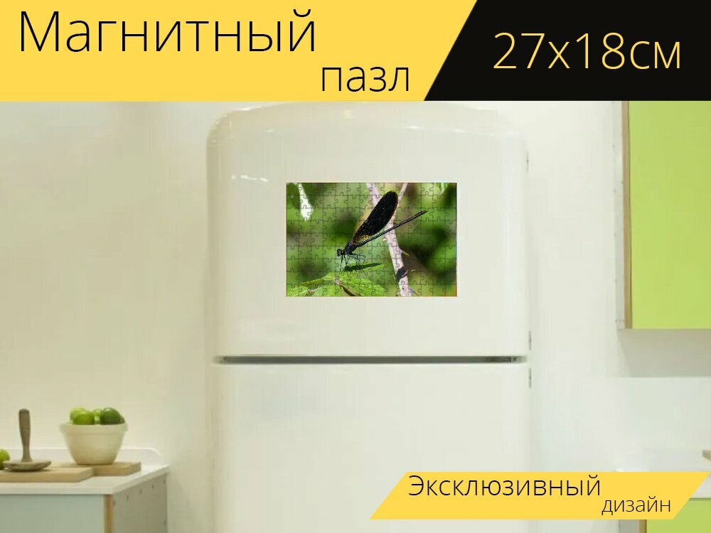 Магнитный пазл "Стрекоза, черная стрекоза, геморроидальный калоптерикс" на холодильник 27 x 18 см.