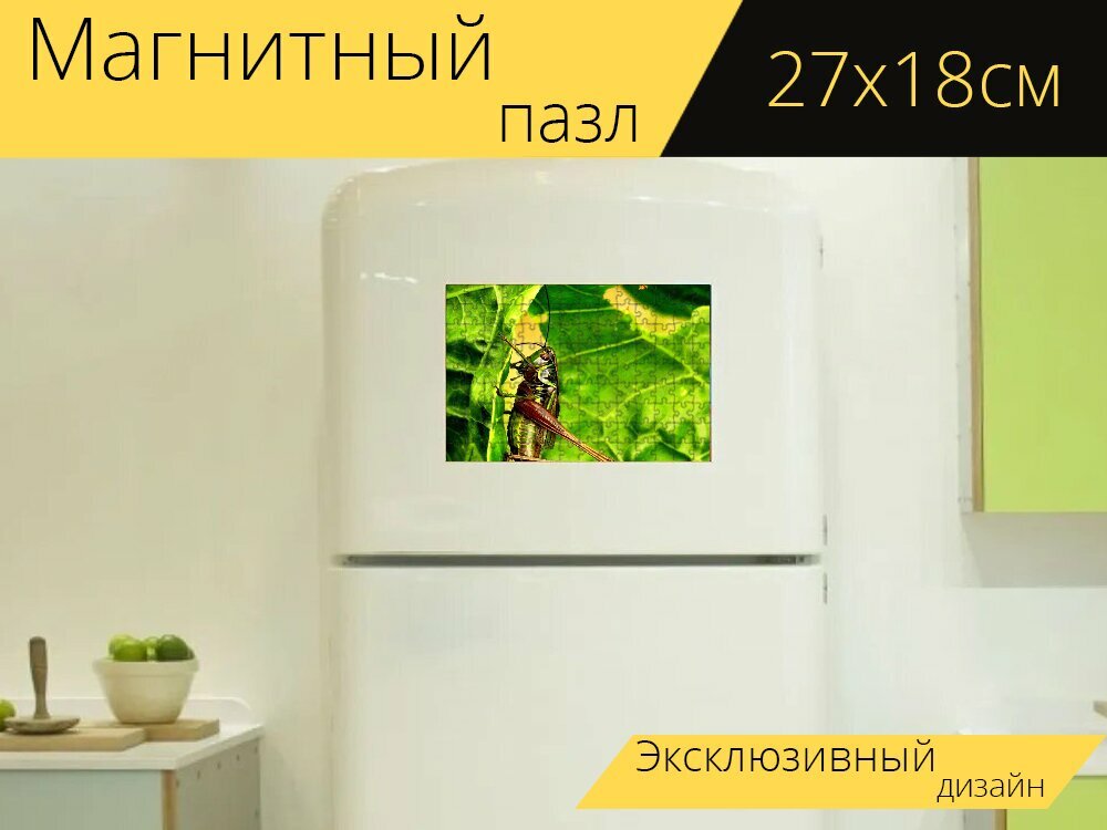 Магнитный пазл "Кузнечик, зеленый, прыгнуть" на холодильник 27 x 18 см.