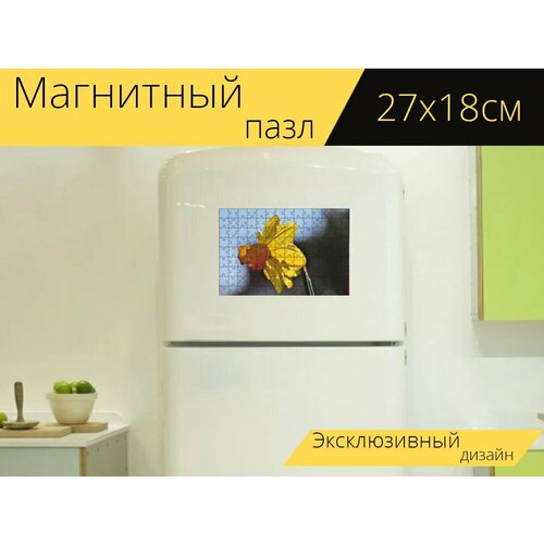 Магнитный пазл Нарцисс, пасхальный колокол, желтый нарцисс на холодильник 27 x 18 см. магнитный пазл цветы нарцисс луковичное растение на холодильник 27 x 18 см