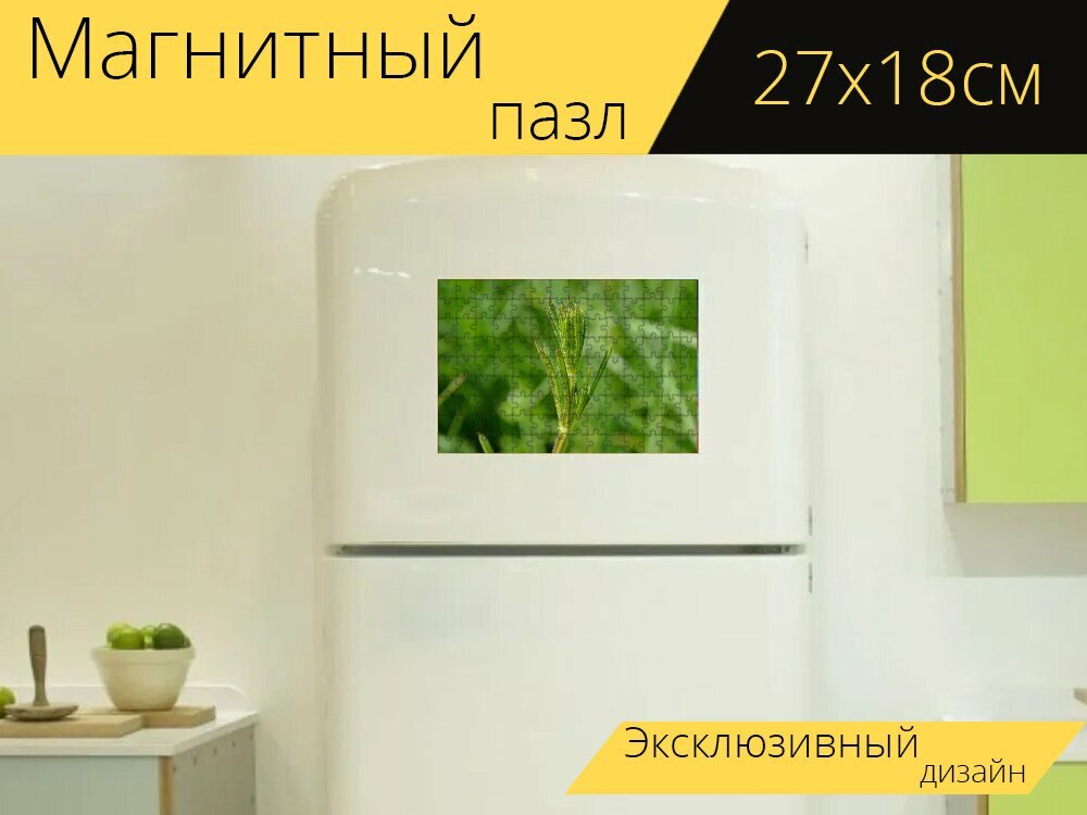 Магнитный пазл "Клейкая трава, сорняки, природа" на холодильник 27 x 18 см.