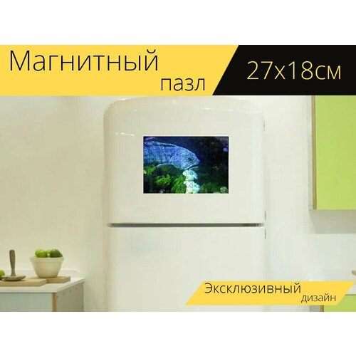 Магнитный пазл Сибас, рыбы, аквариум на холодильник 27 x 18 см. магнитный пазл рыбы аквариум вода на холодильник 27 x 18 см