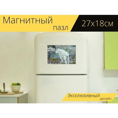 Магнитный пазл Горный козел, дикий, животное на холодильник 27 x 18 см.