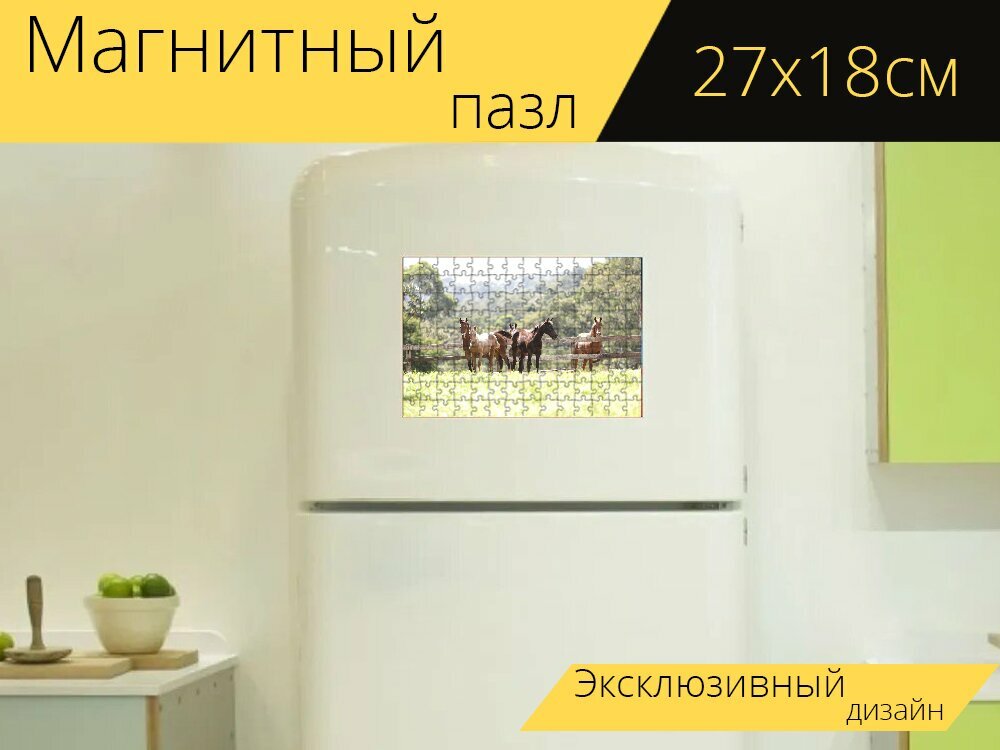 Магнитный пазл "Лошадь, ферма, ковбой" на холодильник 27 x 18 см.