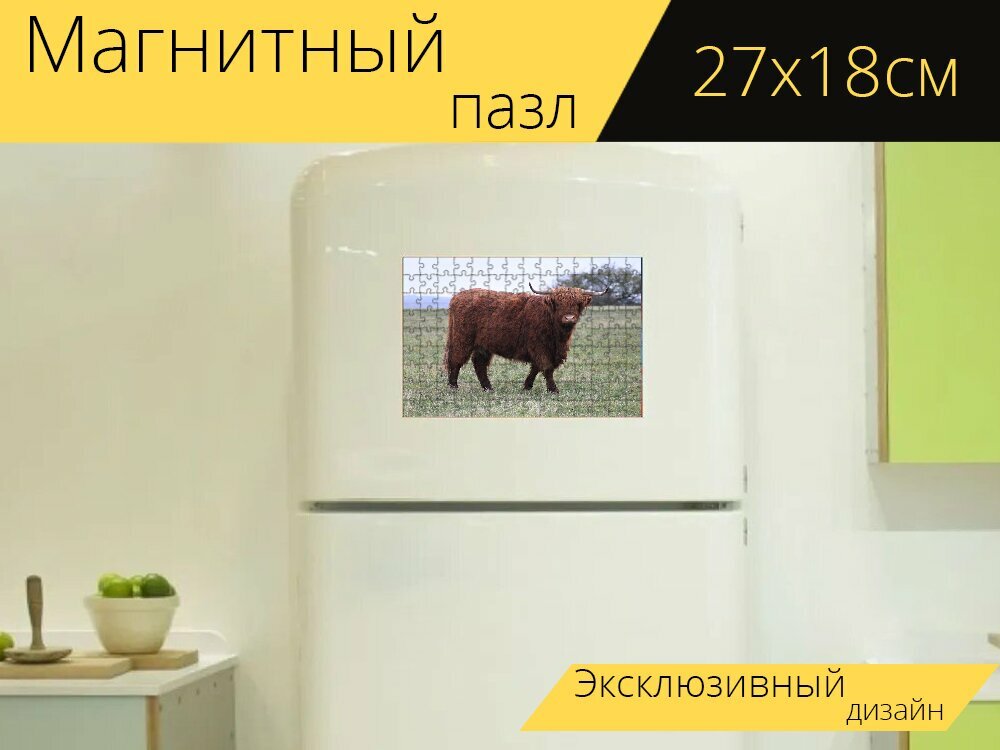 Магнитный пазл "Корова, бык, хайленд крупного рогатого скота" на холодильник 27 x 18 см.