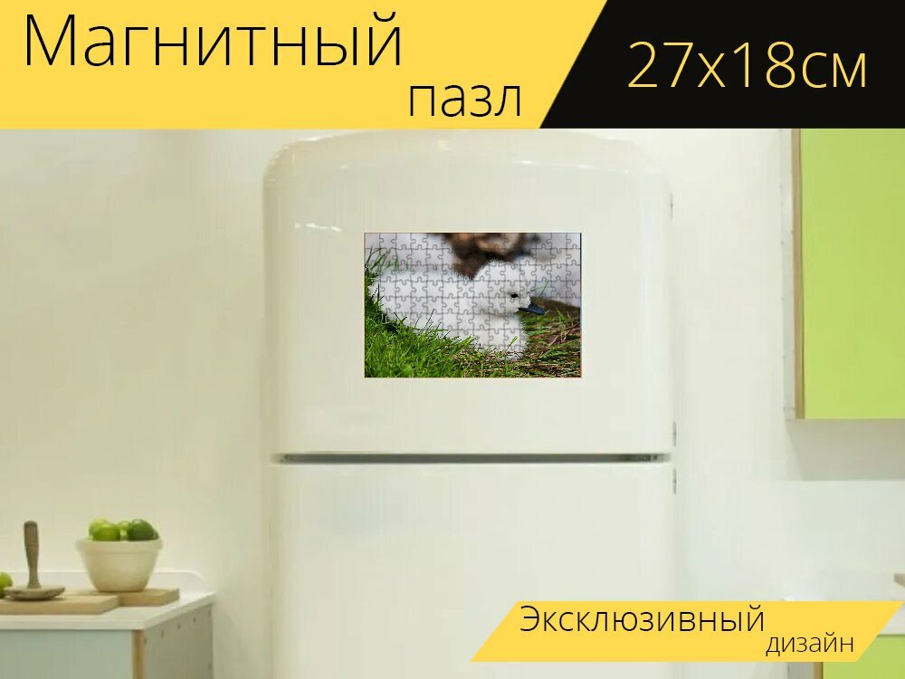 Магнитный пазл "Цыпленок, природа, ребенокживотное" на холодильник 27 x 18 см.