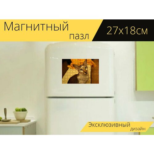 Магнитный пазл Ориентальная короткошерстная кошка, кот, похмелье на холодильник 27 x 18 см. магнитный пазл кот похмелье британская короткошерстная кошка на холодильник 27 x 18 см