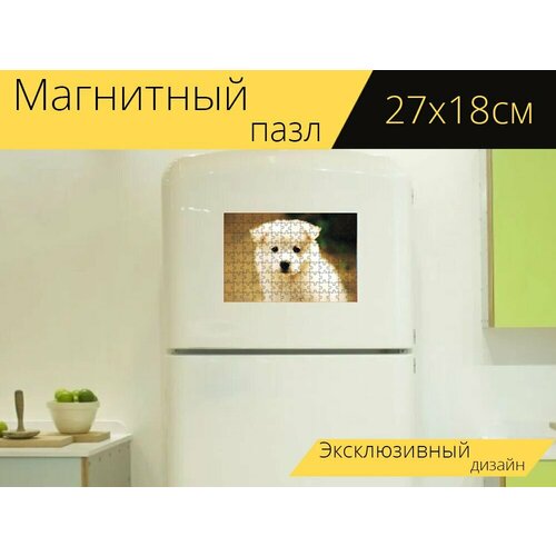 Магнитный пазл Собака, щенок, милый на холодильник 27 x 18 см.