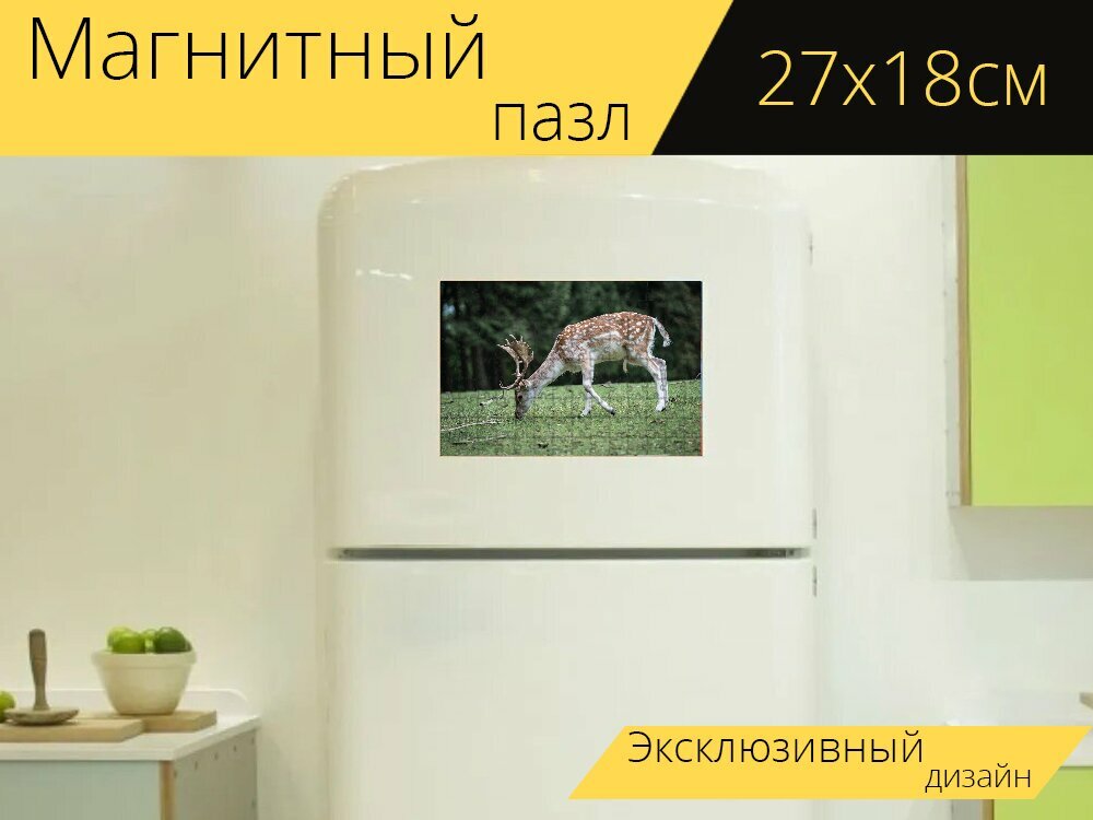 Магнитный пазл "Природа, олень, лес" на холодильник 27 x 18 см.