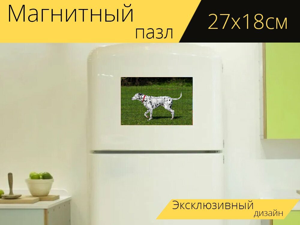 Магнитный пазл "Далматин собака, далматинец, собака" на холодильник 27 x 18 см.