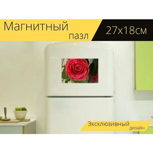 Магнитный пазл Природа, камелия на холодильник 27 x 18 см.
