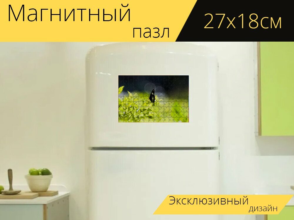 Магнитный пазл "Бабочка, надувные шарики, рамка" на холодильник 27 x 18 см.