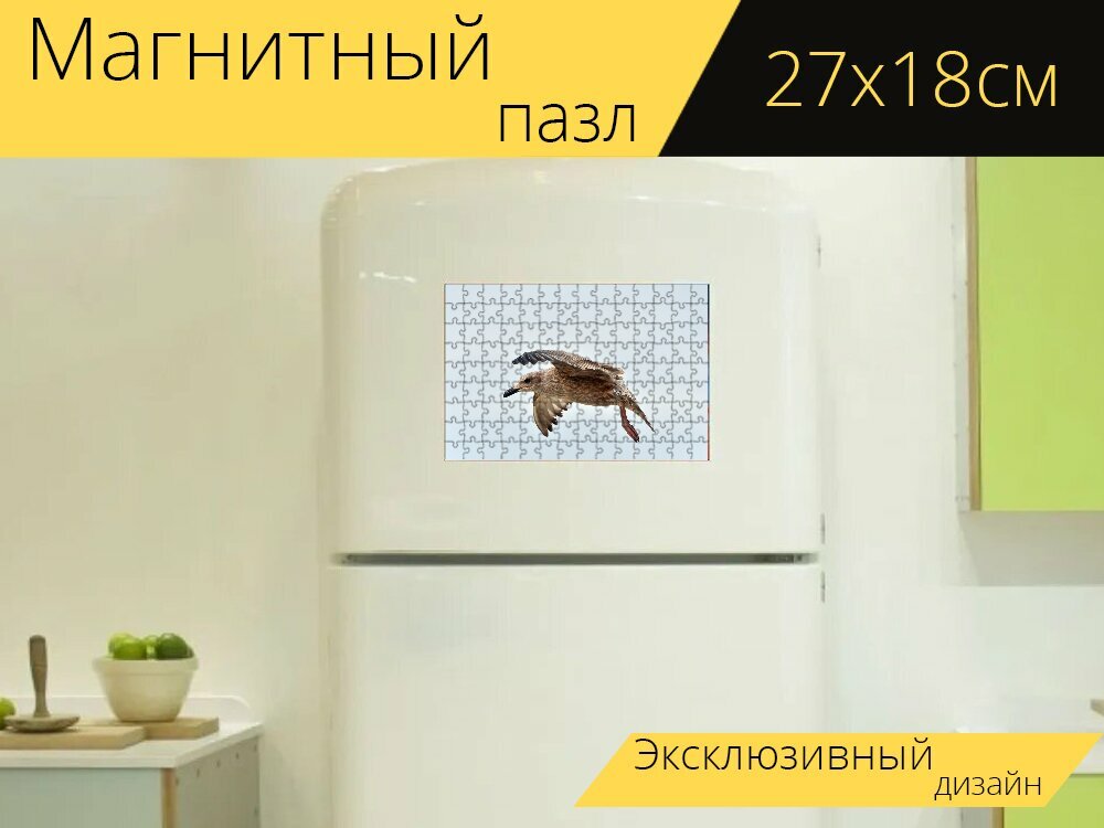 Магнитный пазл "Летающая чайка, птица, сиберд" на холодильник 27 x 18 см.