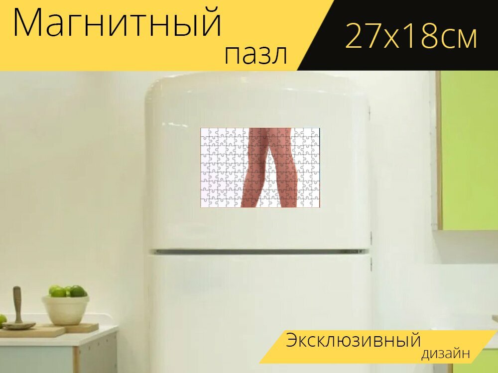 Магнитный пазл "Насосы, ноги, женщина" на холодильник 27 x 18 см.