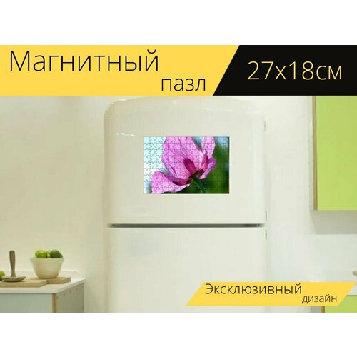 фото Магнитный пазл "мак, фиолетовый, цветок мака" на холодильник 27 x 18 см. lotsprints