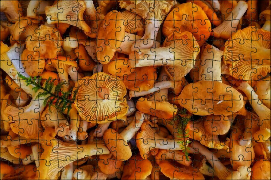 Магнитный пазл "Осень, фон из грибов, дары леса" на холодильник 27 x 18 см.