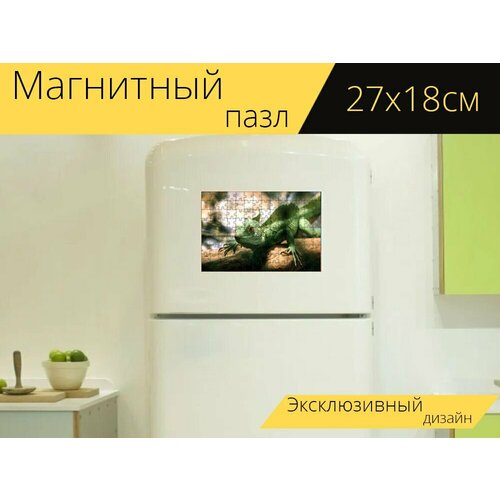 Магнитный пазл Шлемоносный василиск, ящерица, василиск на холодильник 27 x 18 см.