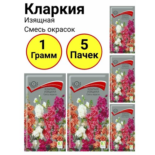 Кларкия изящная Смесь окрасок Однолетник 0,2 грамм, Поиск - 5 пачек гелихризум махровый смесь окрасок 0 25 грамм поиск 5 пачек