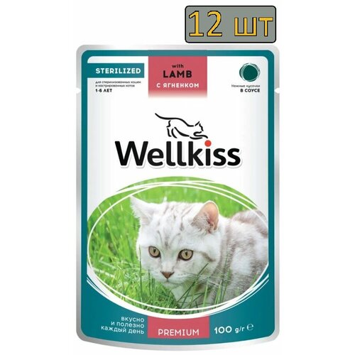 12 штук Wellkiss Sterilised Влажный корм (пауч) для стерилизованных кошек, кусочки с ягненком в соусе, 100 гр.