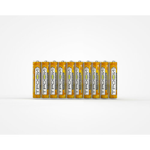 Батарейки Трофи R03-10S CLASSIC HEAVY DUTY Zinc арт. Б0042309 (10 шт.)
