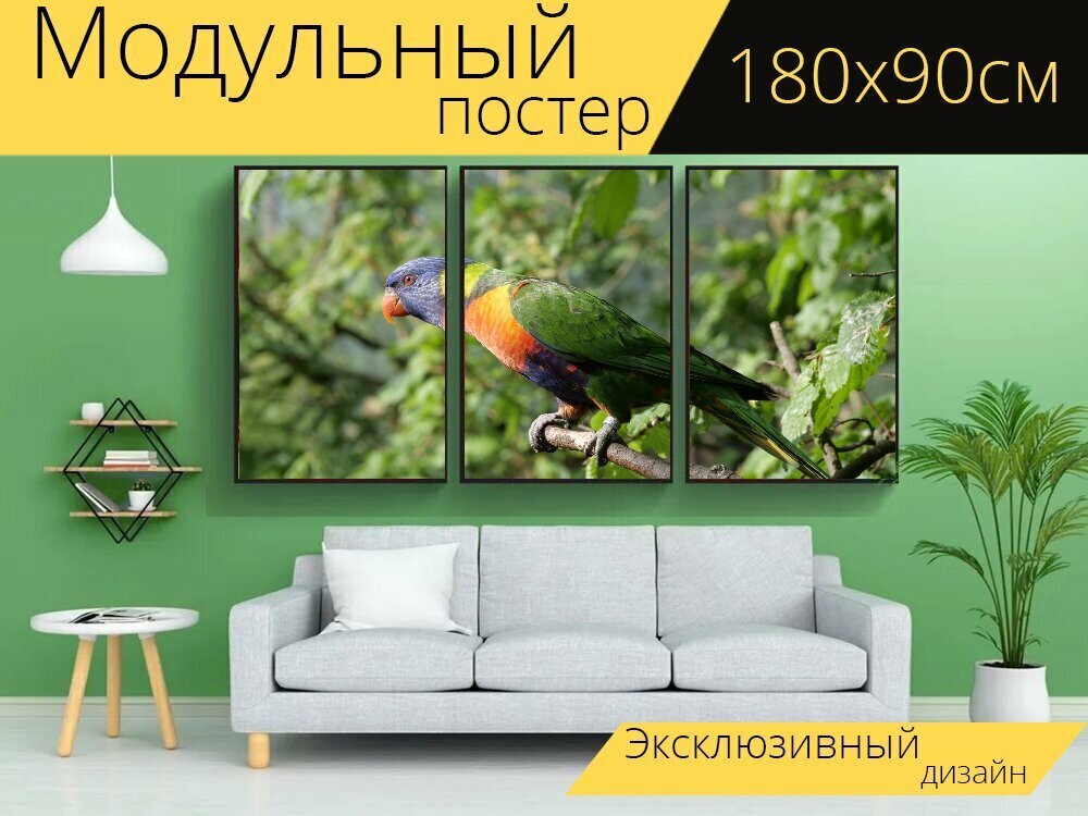 Модульный постер "Loriini лорикет попугай" 180 x 90 см. для интерьера