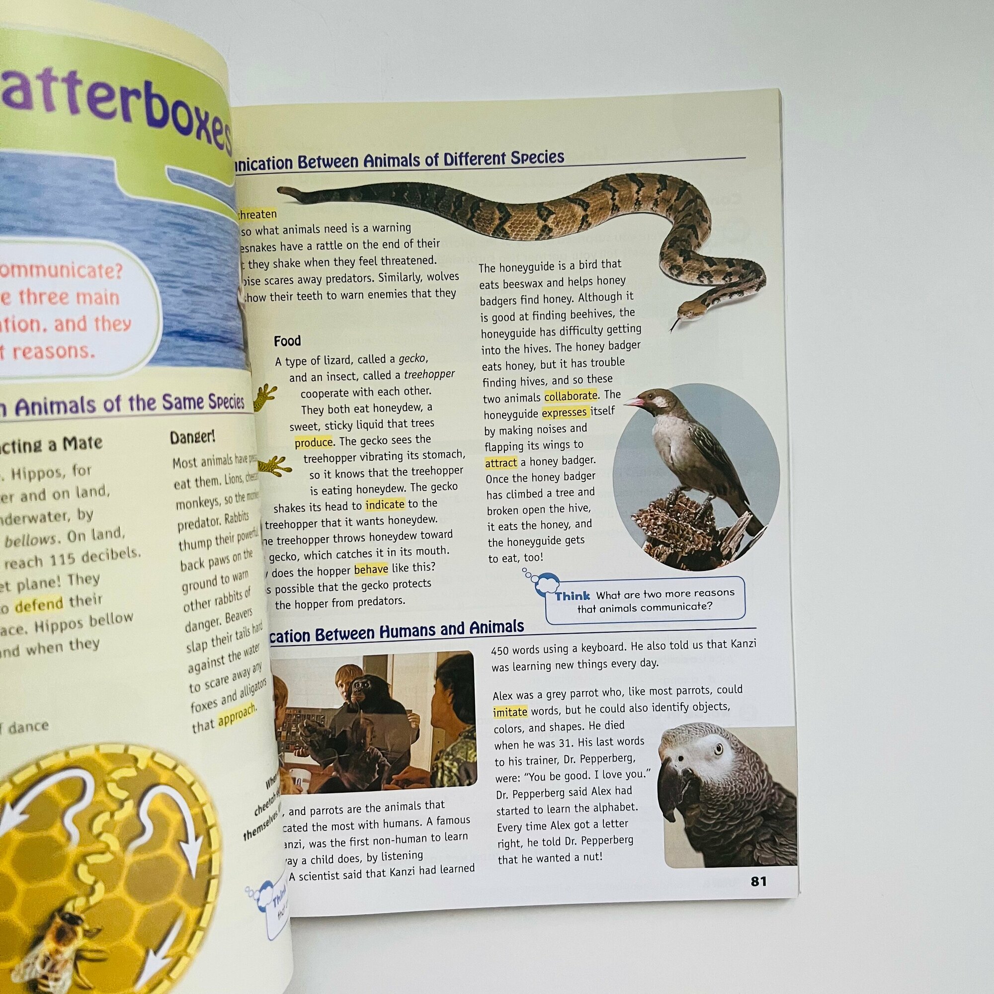 Комплект Oxford Discover 5. Student's Book+Workbook+CD - фото №4