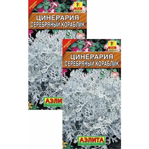 Цинерария Серебряный кораблик (0,1 г), 2 пакета семена цинерария серебряный кораблик