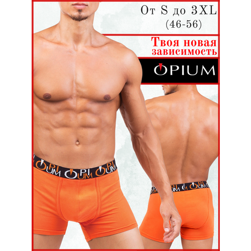 фото Трусы opium, размер xxl, оранжевый, бесцветный