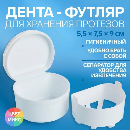 Контейнер для хранения протезов 55 75 9 см цвет микс 317₽