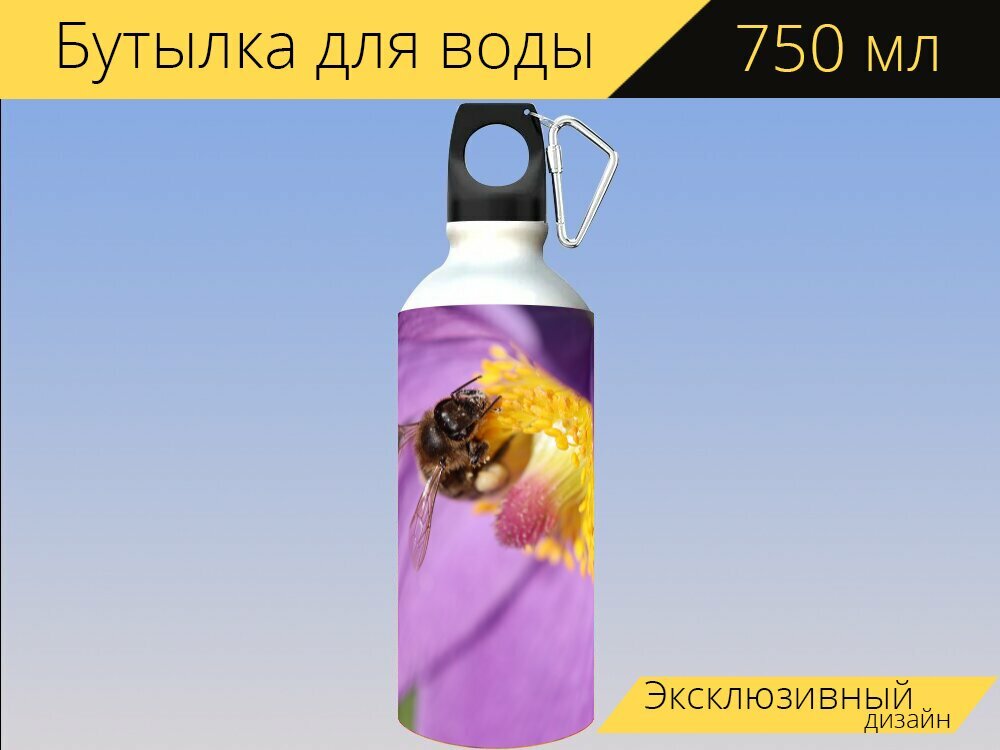 Бутылка фляга для воды "Пульсатилла цветок паске цветок" 750 мл. с карабином и принтом